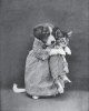 tarihi kedi fotoğrafları