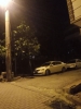 anın görüntüsü / #2305353