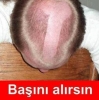 chp lilerin şehitlikte içki masası kurması / #1518898