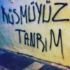 gecenin duvar yazısı / #1326639