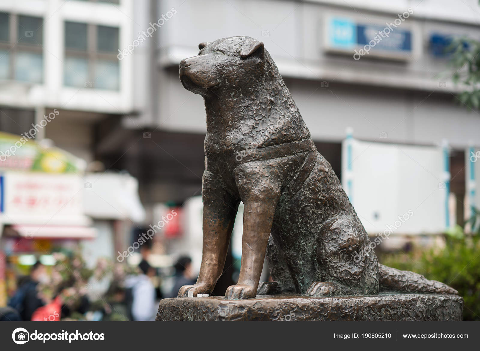 Tokyo dogs. Статуя Хатико Сибуя. Памятник собаке Хатико в Японии. Бронзовая статуя Хатико. Хатико статуя в Японии на станции.