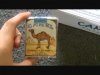 filtresiz camel / #1454845