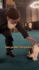 karşılaşılan kedi ve köpeğe selam vermek / #2341890