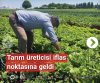tarım