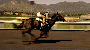 at yarışı