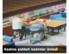 kürtler eşlerine sahip çıkamıyor diyenlerin hali / #2165822