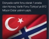 norveç varlık fonu nun milyon dolarlık tr yatırımı / #2134885