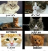 stajyerleri ezmenin çok güzel bir şey olması / #1368855