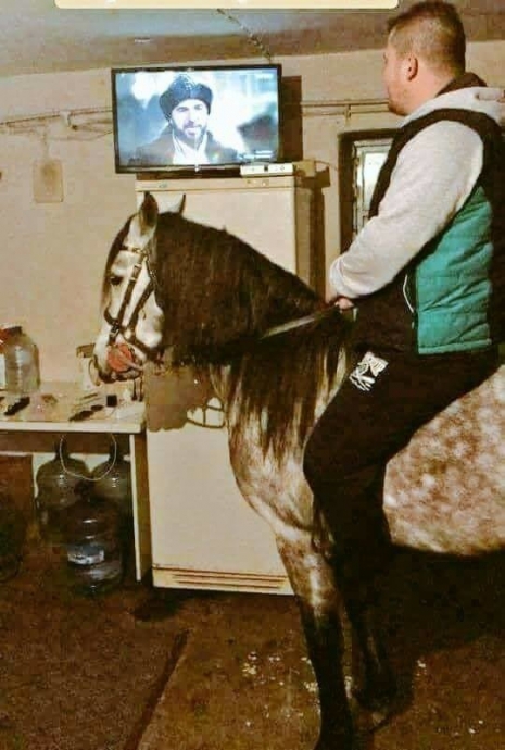 at üzerinde diriliş ertuğrul seyretmek