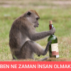 ben ne zaman insan olacağım diyen maymun