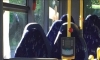 otobüs koltuklarını burkalı kadınlar sanmak