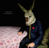 tindersticks / #999386