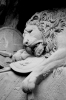 isviçre deki muazzam aslan heykeli
