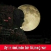 mustafa kemal atatürk / #1508733