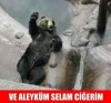 bir kürt olarak tüm türklerin yeni yılını kutlarım / #1291188
