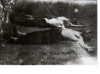 23 aralık 1930 kubilay asteğmen in şehit edilmesi / #1952159