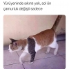 bu arabanın sağ arka çamurluk değişmiş diyen kız / #2009789