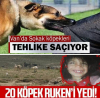ruken kolcu