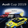 audi cup