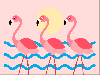 flamingo