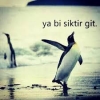 sözlük erkeklerinin fotoğrafları / #1518315