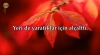 allah yeri yaratıklar için alçalttı / #2246524
