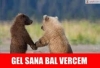 devam etmek için buraya tıklayınız / #1232806