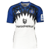 hamburger sv