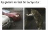 sözlükte darbe yapılması gerektiği gerçeği / #2028906