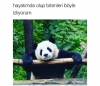 yazarların ruh halini anlatan görüntü