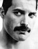 freddie mercury