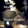 happy monday / #1776086