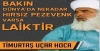 timurtaş uçar / #1333468