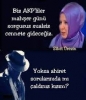 yok deve / #2214201