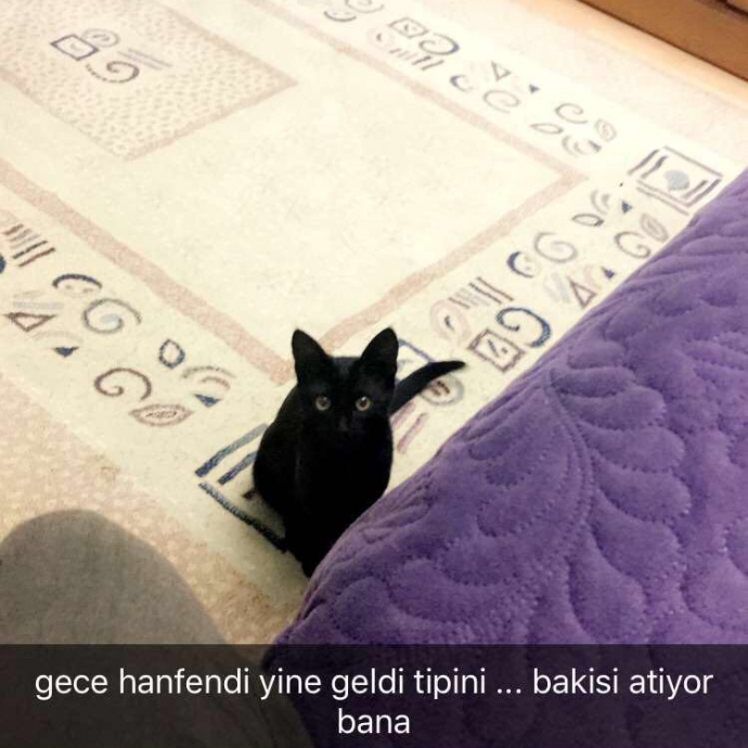 anın görüntüsü 35477763 uludağ sözlük