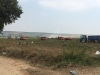köy hayatının pis mikrobik ve akıldışı olması / #2058299