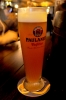 paulaner / #1473975