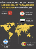 ülke ekonomisinin rezilliği