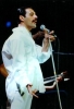 freddie mercury dünyanın en iyi vokalidir / #1458739