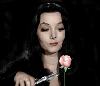 morticia addams