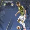 15 aralık 2016 amedspor fenerbahçe maçı / #1272666