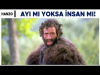 hanzo insan mı ayı mı sorunsalı