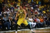 jan vesely