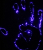 kirlian fotoğrafçılığı / #2301589