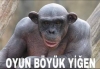 akp ye oy verenler şimdi ne düşünüyor / #1984703