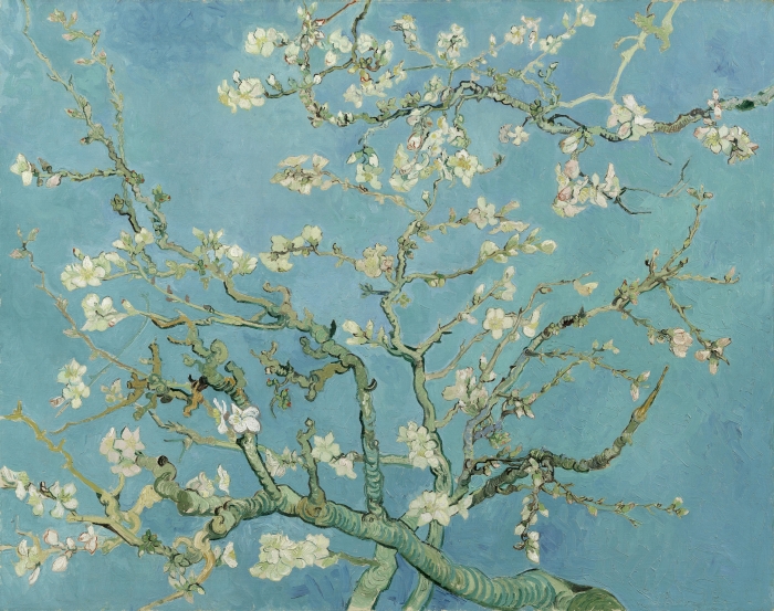 almond blossom uludağ sözlük galeri
