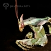 devil mantis