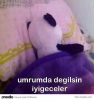 evetçilerde bu ülkenin insanı saygı duy diyen tip / #1394138