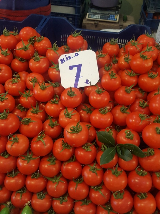 pazardayız uludağ sözlük