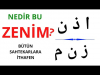 zenim